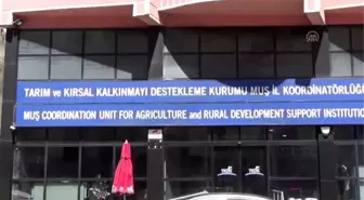 TKDK'den Muşlu girişimcilere 400 milyon lira hibe desteği