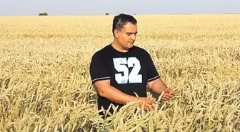 Ukrayna’nın toprağına Türk bereketi