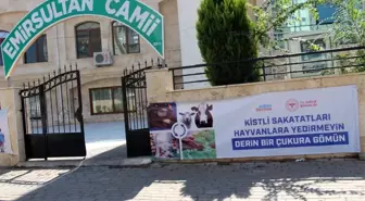 Aydın Sağlık Müdürlüğü, Kurban Bayramı öncesi vatandaşları bilgilendirdi