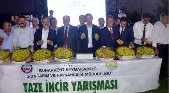 Buharkent'te Taze İncir Festivali başladı