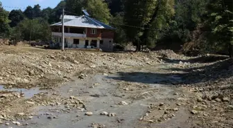 Düzce'de sel bölgesinde yaralar sarılıyor