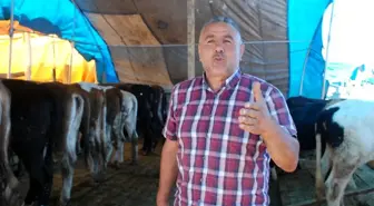 Kurban pazarında türkü sesleri yükseliyor