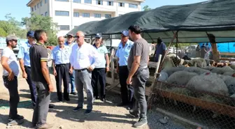 Başkan Karadağ hayvan pazarını denetledi