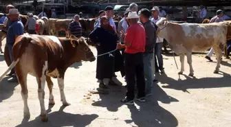 Kurban pazarında son gün yoğunluğu