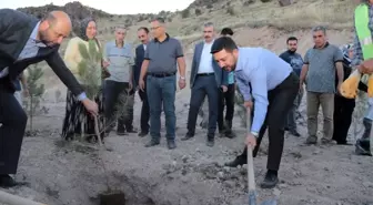 Nevşehir'de her yeni doğan ve ölen kişi için fidan dikilecek