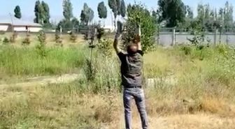 Tedavisi tamamlanan Kızıl Şahin doğaya salındı