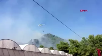 ANTALYA Kumluca'da orman yangını -EK