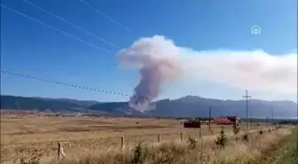 Başmakçı'da orman yangını