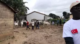 Cansuyu Derneği Togo'da kurban eti dağıttı