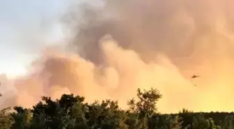 Eskişehir'de orman yangını