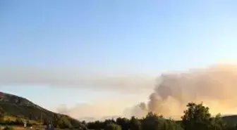 Orman yangınını söndürme çalışmaları sürüyor