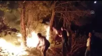 Seyitgazi'de orman yangını çıktı (4)