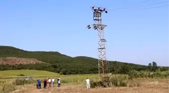 Tekirdağ'da elektrik akımına kapılan leylekler telef oldu