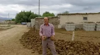 Anadolu'nun doğal gazı: Tezek