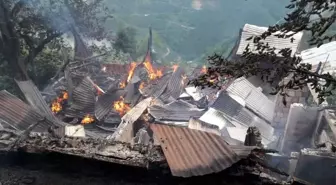 Giresun'un Espiye ilçesinde yangın