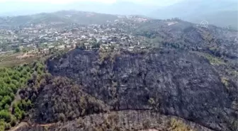 Muğla'da yanan ormanlık alan havadan görüntülendi