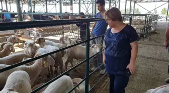 Eskişehir'de kurban bereketi yaşandı