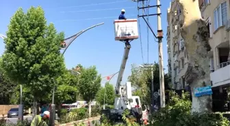 Mersin'de elektrik kesintisine karşı ağaçlar budanıyor