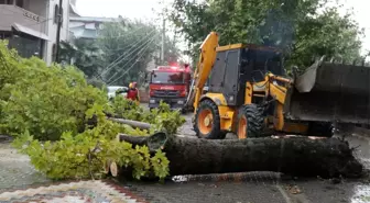 Sakarya'yı etkisi altına alan yağmur hayatı olumsuz etkiledi