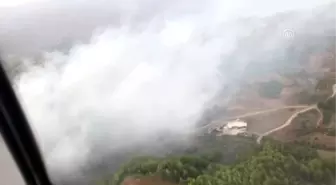 Antakya'da orman yangını