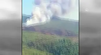 Bordum'da orman yangını