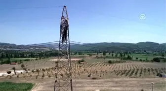 Elektrik hatlarına 'havalı' temizlik