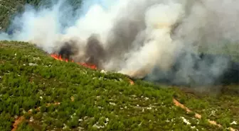 Muğla'da ikinci büyük orman yangını