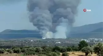 Muğla'da Milas'ın ardından Bodrum'da 2. büyük orman yangını