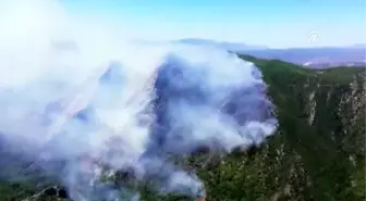 Muğla'da orman yangını (5)