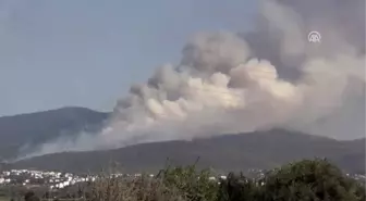 Muğla'daki orman yangınları devam ediyor