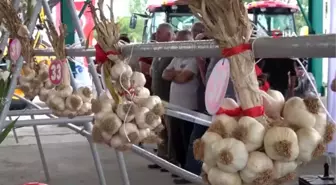 Sarımsak üreticileri, festivaldeki satışlardan memnun