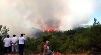 Urla'da orman yangını (2)