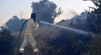 Aliağa'da çıkan yangın korkuttu