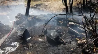 Depo ve ahır yangınında ev küle döndü, 1 inek telef oldu