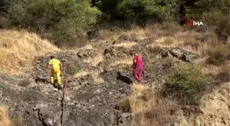 Hatay'daki orman yangını söndürüldü