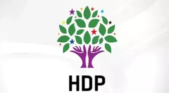 HDP, kayyum atamalarına karşı yol haritasını belirledi