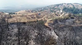 İzmir'de yangını söndürme çalışmaları sürüyor