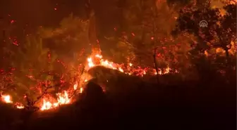 İzmir'deki orman yangını