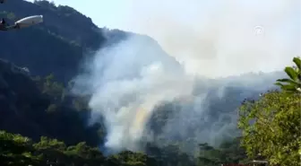 Marmaris'teki orman yangını söndürüldü