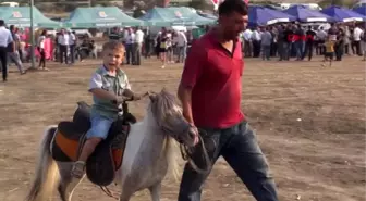 MERSİN DÖRTLER KARASI, ŞENLİKLE TANITILIYOR