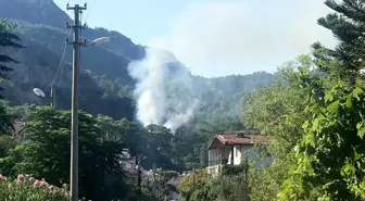 Muğla'da orman yangını