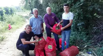 Boncuk fasulye üreticisi şaşkın