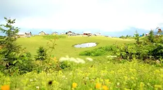 Karadeniz'in yeni gözdesi Badara Yaylası