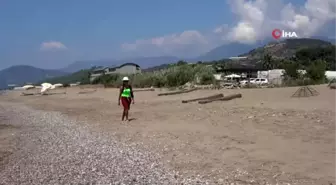 Alanya'da koruma altındaki kum zambakları ilgisiz kaldı