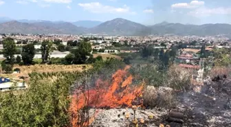 Fethiye'de makilik alanda yangın