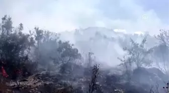 Fethiye'de orman yangını