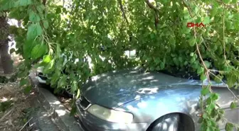 Hatay'da gölgede dinlenmek isteyen vatandaş canından oluyordu