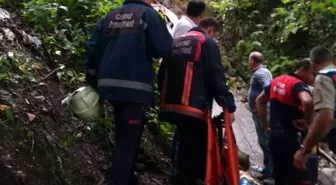 Ordu'da fındık işçileri kaza yaptı : 1 ölü, 14 yaralı