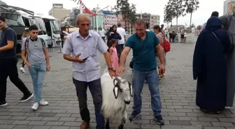 Keçisiyle Taksim'e çıktı, vatandaşların ilgi odağı oldu