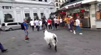 Keçisiyle Taksim'e çıktı, vatandaşların ilgi odağı oldu